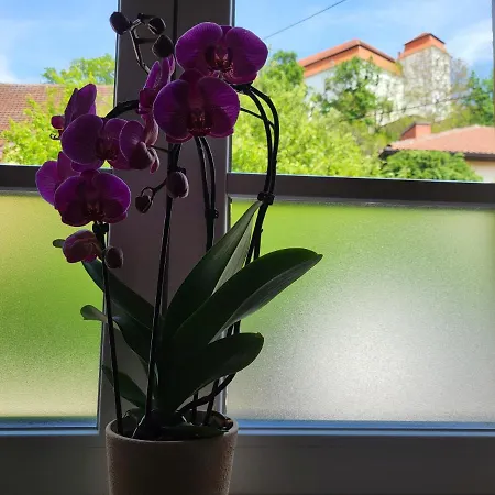 Landena Apartamento *